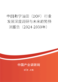 中國數(shù)字油田（DOF）行業(yè)發(fā)展深度調(diào)研與未來趨勢預(yù)測報(bào)告（2024-2030年）