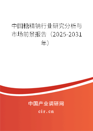 中國糖精鈉行業(yè)研究分析與市場(chǎng)前景報(bào)告（2025-2031年）