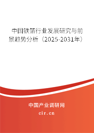 中國鐵箔行業(yè)發(fā)展研究與前景趨勢分析(2025-2031年) 中國鐵箔行業(yè)發(fā)展研究與前景趨勢分析(2025-2031年)