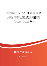 中國(guó)銅礦采選行業(yè)發(fā)展現(xiàn)狀分析與市場(chǎng)前景預(yù)測(cè)報(bào)告（2025-2031年）