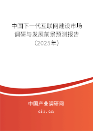 中國下一代互聯(lián)網建設市場調研與發(fā)展前景預測報告（2025年）