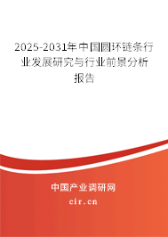 2025-2031年中國(guó)圓環(huán)鏈條行業(yè)發(fā)展研究與行業(yè)前景分析報(bào)告