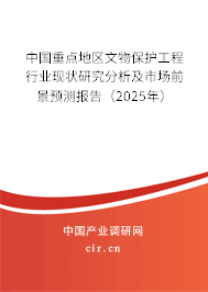 中國重點地區(qū)文物保護(hù)工程行業(yè)現(xiàn)狀研究分析及市場前景預(yù)測報告（2025年）