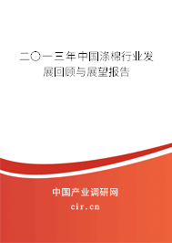 二〇一三年中國滌棉行業(yè)發(fā)展回顧與展望報(bào)告
