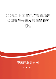 2025年中國家電連鎖市場現(xiàn)狀調(diào)查與未來發(fā)展前景趨勢報(bào)告