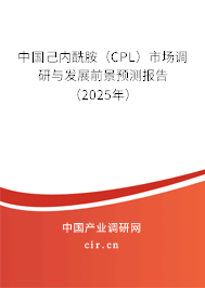 中國己內(nèi)酰胺（CPL）市場調(diào)研與發(fā)展前景預(yù)測報告（2025年）