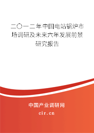 二〇一二年中國(guó)電站鍋爐市場(chǎng)調(diào)研及未來(lái)六年發(fā)展前景研究報(bào)告
