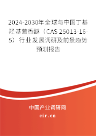 2024-2030年全球與中國丁基羥基茴香醚（CAS 25013-16-5）行業(yè)發(fā)展調(diào)研及前景趨勢預(yù)測報告