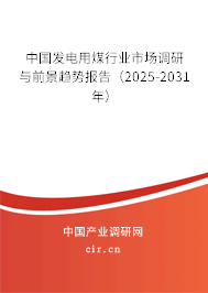 中國發(fā)電用煤行業(yè)市場調(diào)研與前景趨勢報告（2025-2031年）