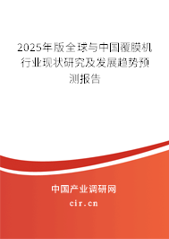 2025年版全球與中國覆膜機(jī)行業(yè)現(xiàn)狀研究及發(fā)展趨勢預(yù)測報告