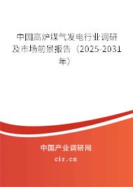 中國(guó)高爐煤氣發(fā)電行業(yè)調(diào)研及市場(chǎng)前景報(bào)告（2025-2031年）