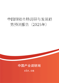 中國(guó)假肢市場(chǎng)調(diào)研與發(fā)展趨勢(shì)預(yù)測(cè)報(bào)告（2025年）