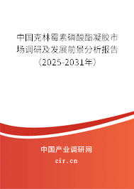 中國克林霉素磷酸酯凝膠市場調(diào)研及發(fā)展前景分析報告（2025-2031年）