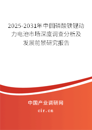 2025-2031年中國(guó)磷酸鐵鋰動(dòng)力電池市場(chǎng)深度調(diào)查分析及發(fā)展前景研究報(bào)告