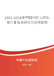 2025-2031年中國PVC-U排水管行業(yè)發(fā)展研究與前景趨勢