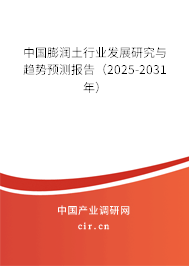 中國膨潤土行業(yè)發(fā)展研究與趨勢預測報告（2025-2031年）