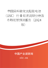 中國染料敏化太陽能電池（DSC）行業(yè)現(xiàn)狀調(diào)研分析及市場前景預(yù)測報告（2024版）