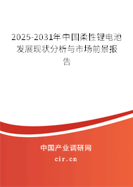 2025-2031年中國柔性鋰電池發(fā)展現(xiàn)狀分析與市場前景報告 2025-2031年中國柔性鋰電池發(fā)展現(xiàn)狀分析與市場前景報告