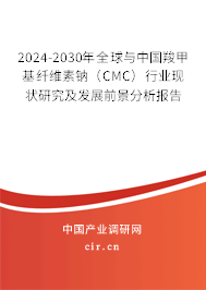 2024-2030年全球與中國羧甲基纖維素鈉（CMC）行業(yè)現(xiàn)狀研究及發(fā)展前景分析報(bào)告