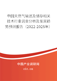 中國天然氣輸送及儲(chǔ)存相關(guān)技術(shù)行業(yè)調(diào)查分析及發(fā)展趨勢預(yù)測報(bào)告（2022-2028年）
