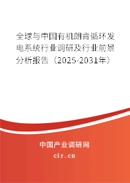 全球與中國有機(jī)朗肯循環(huán)發(fā)電系統(tǒng)行業(yè)調(diào)研及行業(yè)前景分析報(bào)告（2025-2031年）