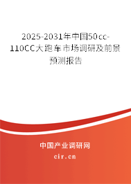 2025-2031年中國50cc-110CC大跑車市場調(diào)研及前景預測報告