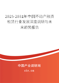 2025-2031年中國不動產融資租賃行業(yè)發(fā)展深度調研與未來趨勢報告