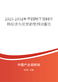 2025-2031年中國(guó)地下管網(wǎng)市場(chǎng)現(xiàn)狀與前景趨勢(shì)預(yù)測(cè)報(bào)告