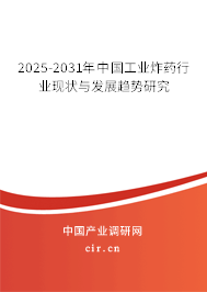 2025-2031年中國工業(yè)炸藥行業(yè)現(xiàn)狀與發(fā)展趨勢研究 2025-2031年中國工業(yè)炸藥行業(yè)現(xiàn)狀與發(fā)展趨勢研究