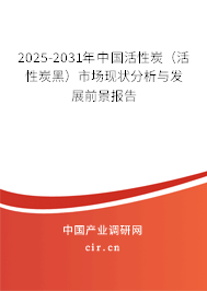 2025-2031年中國活性炭（活性炭黑）市場現(xiàn)狀分析與發(fā)展前景報(bào)告
