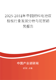 2025-2031年中國(guó)燃料電池雙極板行業(yè)發(fā)展分析與前景趨勢(shì)報(bào)告