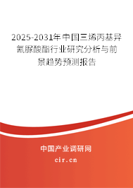 2025-2031年中國三烯丙基異氰脲酸酯行業(yè)研究分析與前景趨勢預(yù)測報告