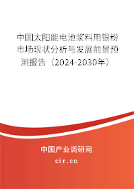 中國太陽能電池漿料用銀粉市場現(xiàn)狀分析與發(fā)展前景預(yù)測報(bào)告（2024-2030年）
