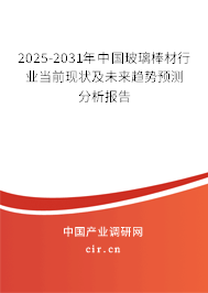2025-2031年中國(guó)玻璃棒材行業(yè)當(dāng)前現(xiàn)狀及未來(lái)趨勢(shì)預(yù)測(cè)分析報(bào)告