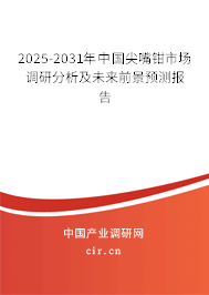 2025-2031年中國(guó)尖嘴鉗市場(chǎng)調(diào)研分析及未來前景預(yù)測(cè)報(bào)告