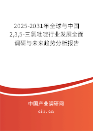 2025-2031年全球與中國(guó)2,3,5-三氯吡啶行業(yè)發(fā)展全面調(diào)研與未來(lái)趨勢(shì)分析報(bào)告