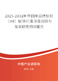 2025-2031年中國(guó)單層抗反射（AR）玻璃行業(yè)深度調(diào)研與發(fā)展趨勢(shì)預(yù)測(cè)報(bào)告