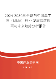 2024-2030年全球與中國(guó)單丁胺(MMA)行業(yè)發(fā)展深度調(diào)研與未來(lái)趨勢(shì)分析報(bào)告 2024-2030年全球與中國(guó)單丁胺(MMA)行業(yè)發(fā)展深度調(diào)研與未來(lái)趨勢(shì)分析報(bào)告