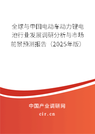 全球與中國電動車動力鋰電池行業(yè)發(fā)展調(diào)研分析與市場前景預(yù)測報(bào)告（2025年版）