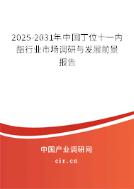 2025-2031年中國丁位十一內酯行業(yè)市場調研與發(fā)展前景報告