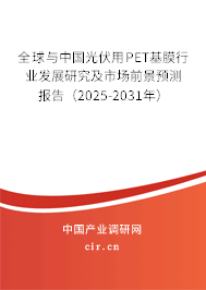全球與中國(guó)光伏用PET基膜行業(yè)發(fā)展研究及市場(chǎng)前景預(yù)測(cè)報(bào)告（2025-2031年）