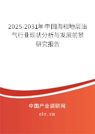 2025-2031年中國海相地層油氣行業(yè)現(xiàn)狀分析與發(fā)展前景研究報(bào)告