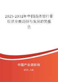 2025-2031年中國晶體管行業(yè)現(xiàn)狀全面調(diào)研與發(fā)展趨勢報告