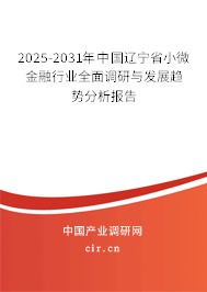 2025-2031年中國(guó)遼寧省小微金融行業(yè)全面調(diào)研與發(fā)展趨勢(shì)分析報(bào)告
