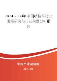 2024-2030年中國哌拉平行業(yè)發(fā)展研究與行業(yè)前景分析報告 2024-2030年中國哌拉平行業(yè)發(fā)展研究與行業(yè)前景分析報告