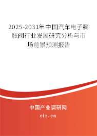 2025-2031年中國(guó)汽車(chē)電子膨脹閥行業(yè)發(fā)展研究分析與市場(chǎng)前景預(yù)測(cè)報(bào)告