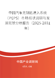 中國汽車無鑰匙進入系統(tǒng)（PEPS）市場現(xiàn)狀調(diào)研與發(fā)展前景分析報告（2025-2031年）