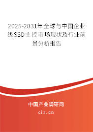 2025-2031年全球與中國企業(yè)級SSD主控市場現(xiàn)狀及行業(yè)前景分析報告