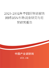 2025-2031年中國區(qū)塊鏈服務(wù)網(wǎng)絡(luò)BSN市場調(diào)查研究與前景趨勢報(bào)告