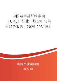中國羧甲基纖維素鈉（CMC）行業(yè)市場分析與前景趨勢報告（2025-2031年）